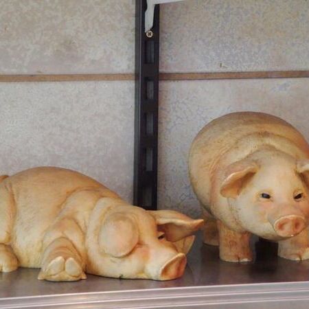 2 Schweinchen